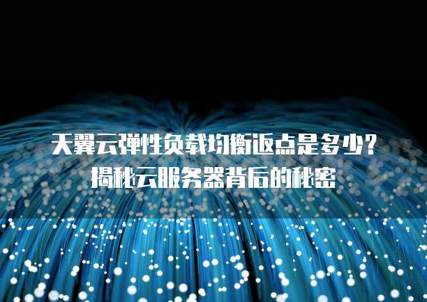 天翼云弹性负载均衡返点是多少?揭秘云服务器背后的秘密