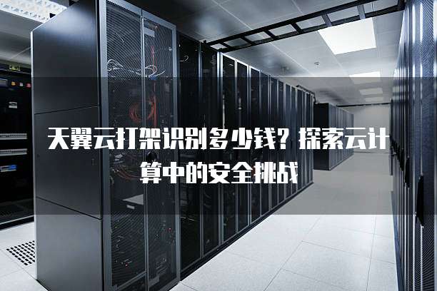 天翼云打架识别多少钱?探索云计算中的安全挑战