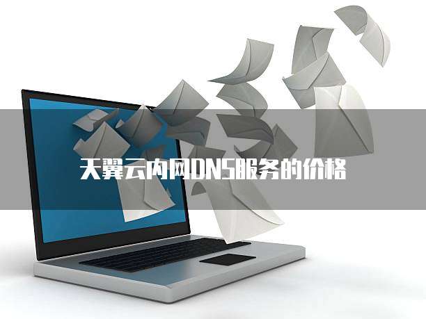天翼云内网DNS服务的价格