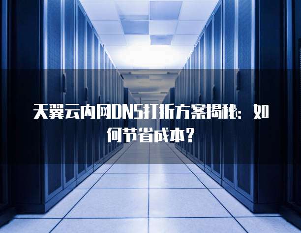 天翼云内网DNS打折方案揭秘:如何节省成本?