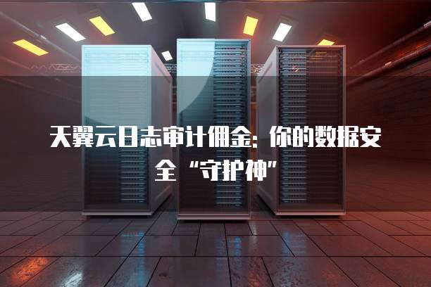 天翼云日志审计佣金: 你的数据安全“守护神”