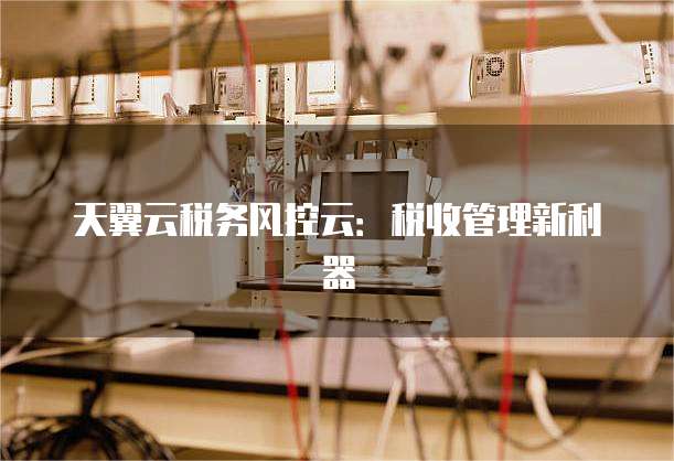 天翼云税务风控云:税收管理新利器