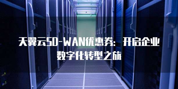 天翼云SD-WAN优惠券:开启企业数字化转型之旅