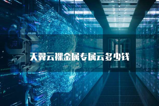 天翼云裸金属专属云多少钱