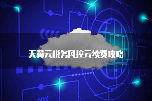 天翼云税务风控云续费攻略