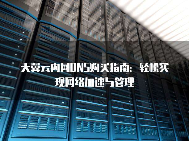 天翼云内网DNS购买指南:轻松实现网络加速与管理