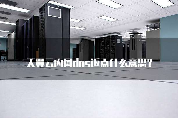 天翼云内网dns返点什么意思?