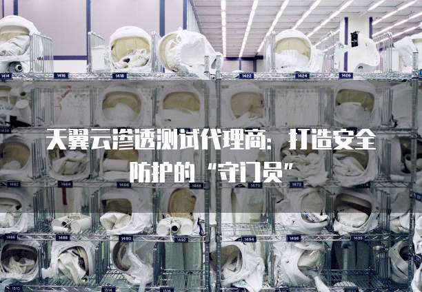 天翼云渗透测试代理商：打造安全防护的&ldquo;守门员&rdquo;