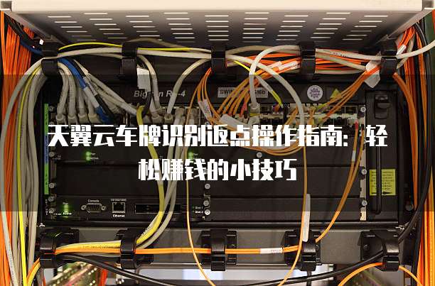 天翼云车牌识别返点操作指南:轻松赚钱的小技巧