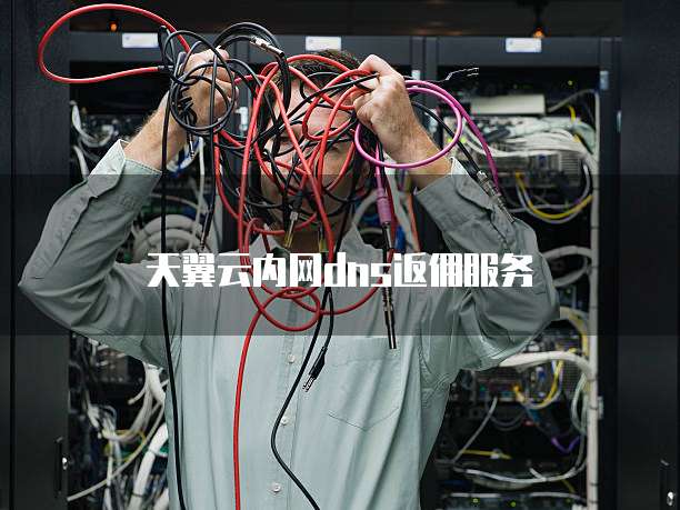 天翼云内网dns返佣服务