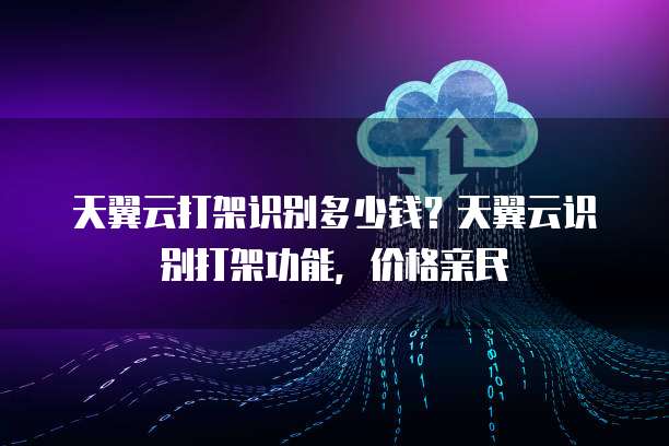 天翼云打架识别多少钱?天翼云识别打架功能,价格亲民