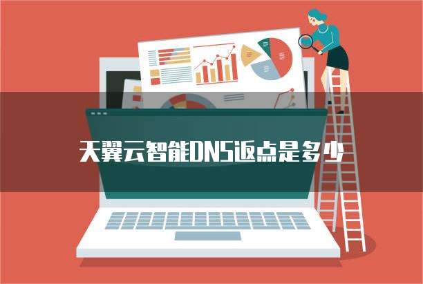 天翼云智能DNS返点是多少
