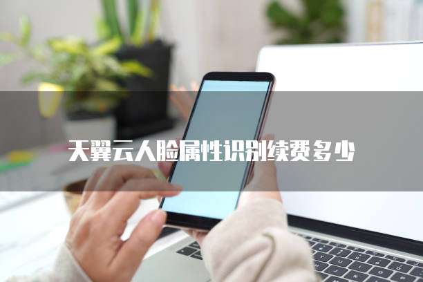 天翼云人脸属性识别续费多少