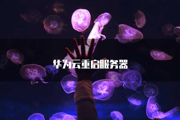 天翼云防火墙的设置与显示