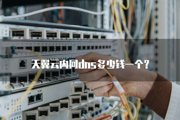 天翼云内网dns多少钱一个?