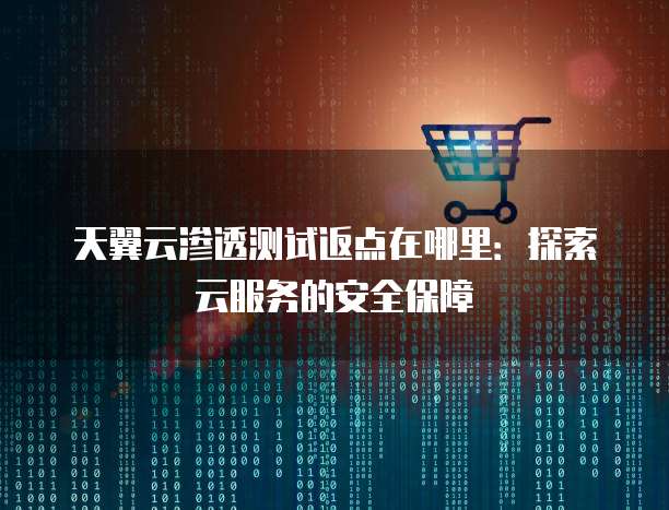 天翼云渗透测试返点在哪里:探索云服务的安全保障