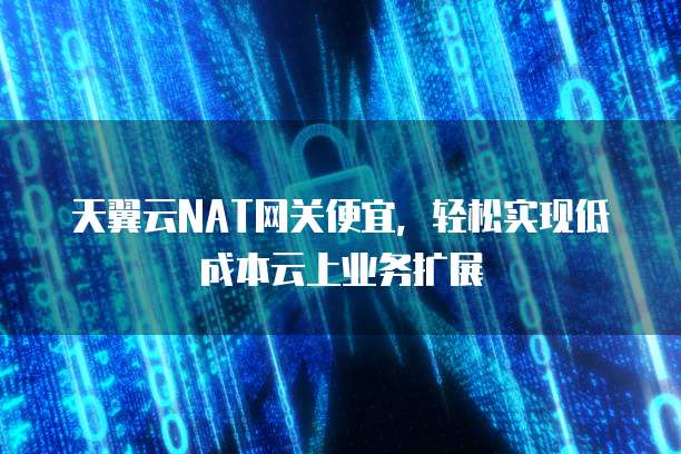 天翼云NAT网关便宜,轻松实现低成本云上业务扩展