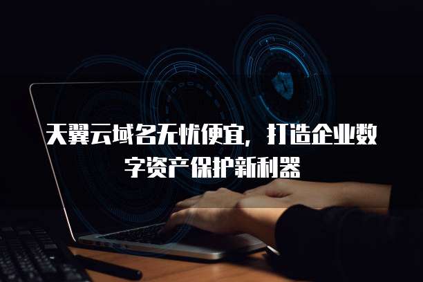 天翼云域名无忧便宜,打造企业数字资产保护新利器