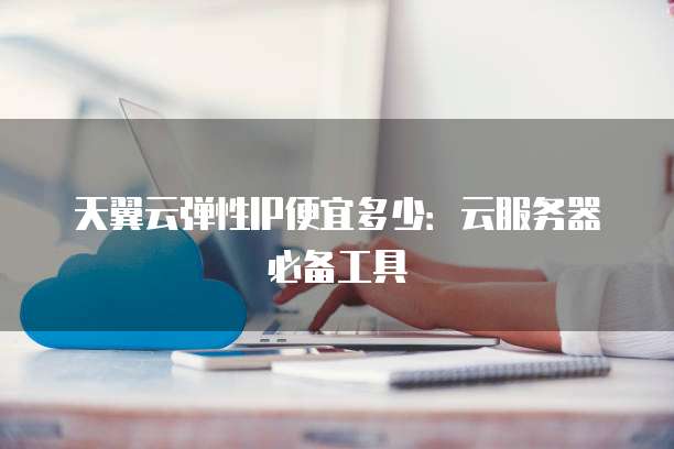 天翼云弹性IP便宜多少：云服务器必备工具