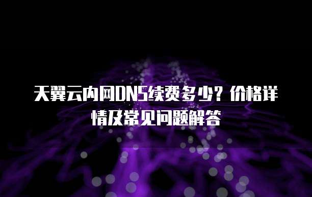 天翼云内网DNS续费多少?价格详情及常见问题解答
