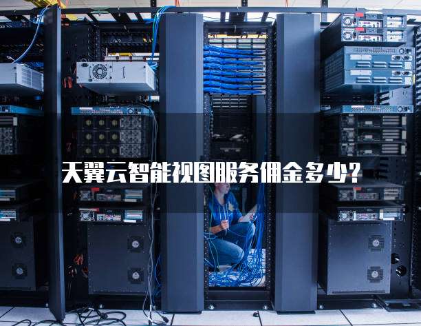 天翼云智能视图服务佣金多少?