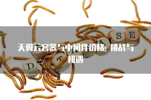 天翼云容器与中间件价格: 挑战与机遇