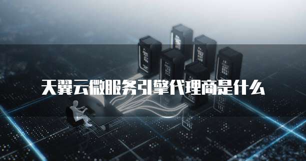 天翼云微服务引擎代理商是什么