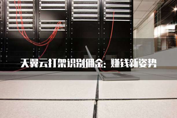 天翼云打架识别佣金: 赚钱新姿势