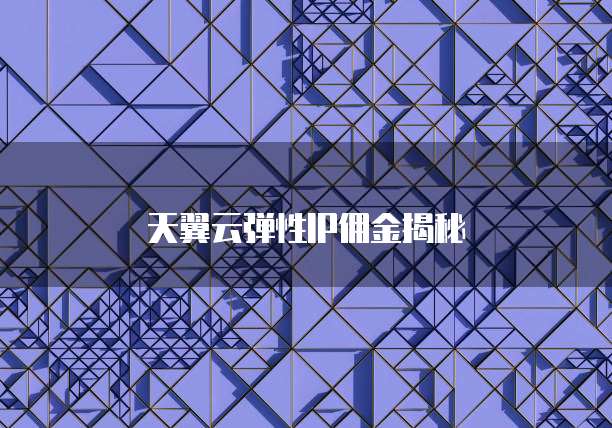 天翼云弹性IP佣金揭秘