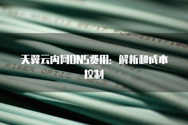 天翼云内网DNS费用:解析和成本控制