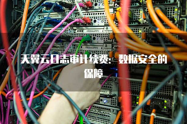 天翼云日志审计续费:数据安全的保障