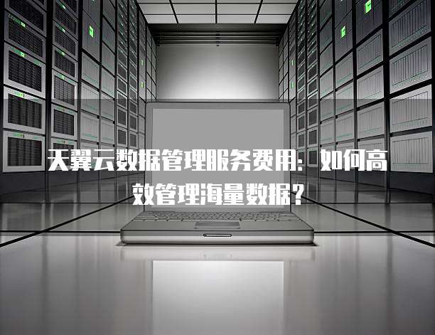 天翼云数据管理服务费用:如何高效管理海量数据?