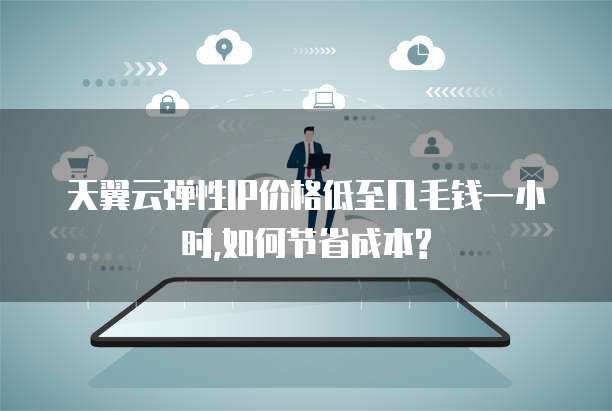 天翼云弹性IP价格低至几毛钱一小时,如何节省成本?