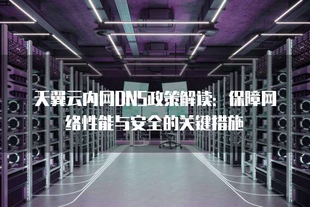 天翼云内网DNS政策解读:保障网络性能与安全的关键措施