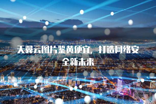 天翼云图片鉴黄便宜,打造网络安全新未来