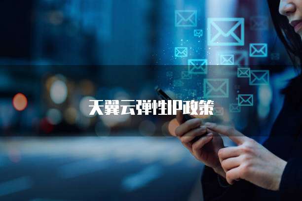 天翼云弹性IP政策