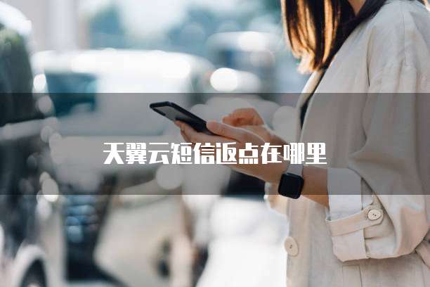 天翼云短信返点在哪里