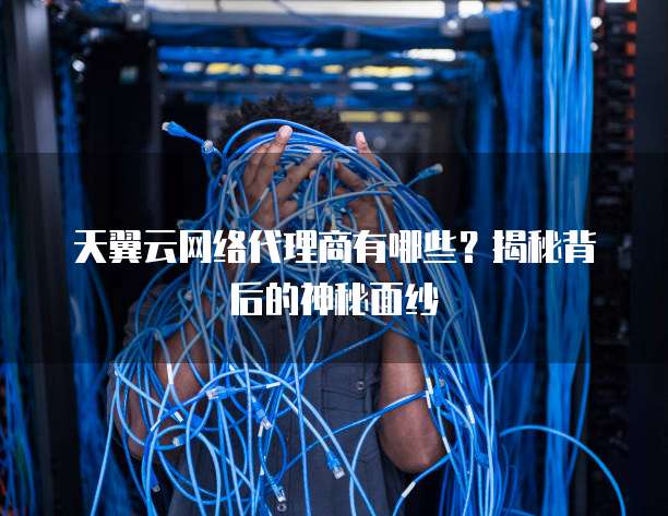 天翼云网络代理商有哪些?揭秘背后的神秘面纱