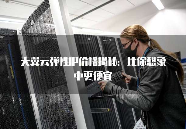 天翼云弹性IP价格揭秘:比你想象中更便宜
