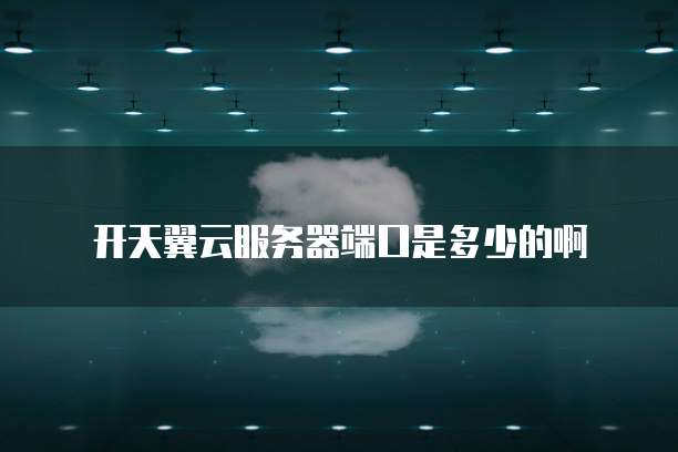 开天翼云服务器端口是多少的啊