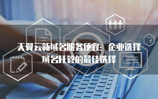 天翼云新域名服务便宜:企业选择域名托管的最佳选择