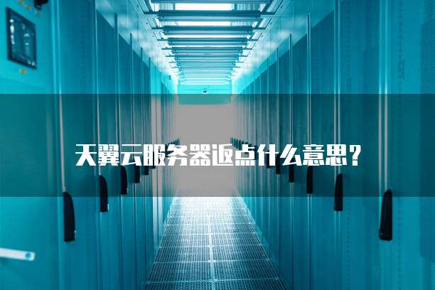 天翼云服务器返点什么意思?