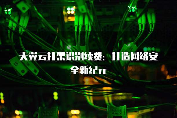 天翼云打架识别续费:打造网络安全新纪元