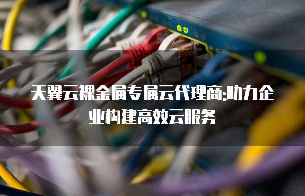天翼云裸金属专属云代理商:助力企业构建高效云服务