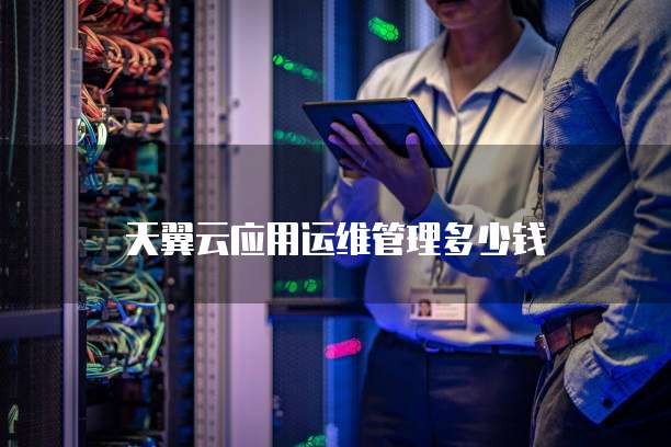 天翼云应用运维管理多少钱