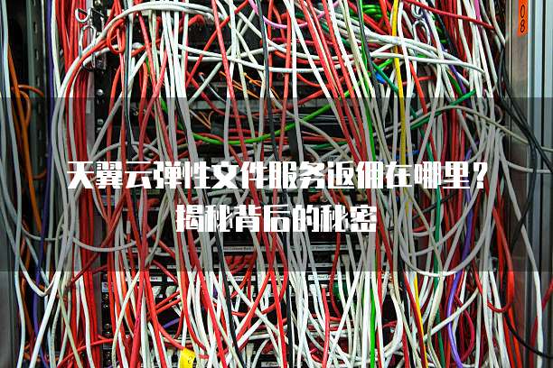 天翼云弹性文件服务返佣在哪里?揭秘背后的秘密