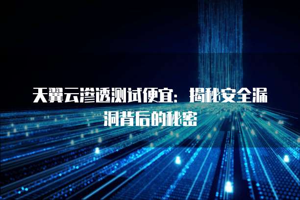 天翼云渗透测试便宜：揭秘安全漏洞背后的秘密