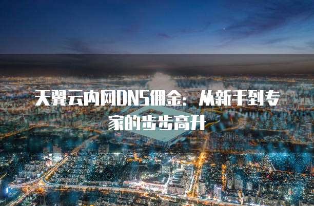 天翼云内网DNS佣金:从新手到专家的步步高升