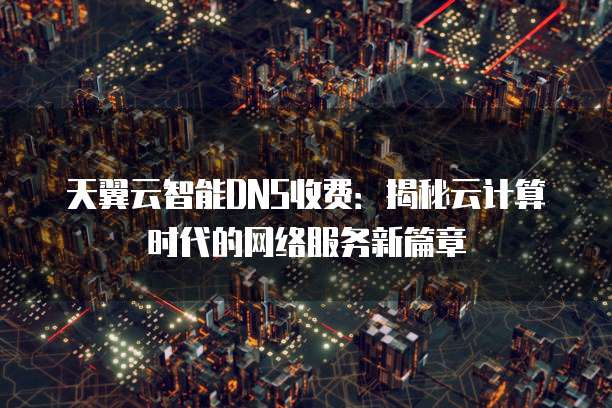 天翼云智能DNS收费:揭秘云计算时代的网络服务新篇章