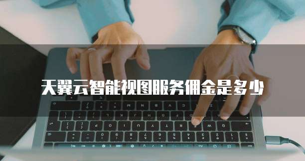 天翼云智能视图服务佣金是多少
